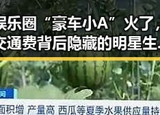 娱乐圈“豪车小A”火了，交通费背后隐藏的明星生活真相？🚗✨