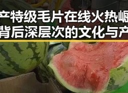 国产特级毛片在线火热崛起：背后深层次的文化与产业变革