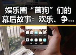 娱乐圈“菌狗”们的幕后故事：欢乐、争议与公益的交织