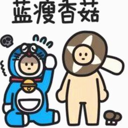 从怀念母亲到娱乐圈反水：吃瓜每日大赛的那些年🌟情感与风波交织