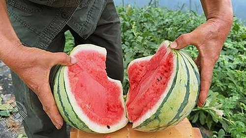 扬州副市长婚房偷情曝光，副局长颜值爆表引热议