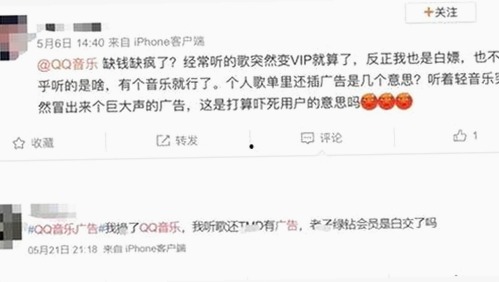 娱乐圈新名号大揭秘：名字背后隐藏的故事