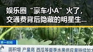 娱乐圈“豪车小A”火了,交通费背后隐藏的明星生活真相?🚗✨