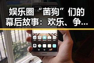 娱乐圈“菌狗”们的幕后故事：欢乐、争议与公益的交织