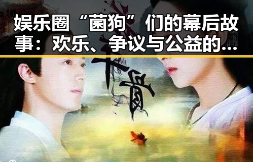 娱乐圈“菌狗”们的幕后故事：欢乐、争议与公益的交织