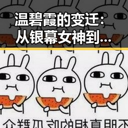 温碧霞的变迁:从银幕女神到争议焦点的背后