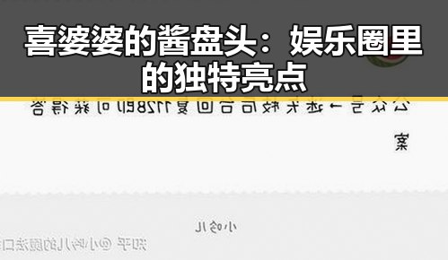 喜婆婆的酱盘头:娱乐圈里的独特亮点