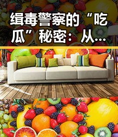 缉毒警察的“吃瓜”秘密:从严肃到轻松的反差震撼✨